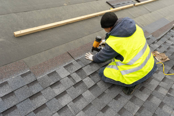Best Roof Gutter Cleaning  in Lapeer, MI