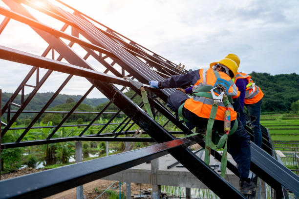 Best Storm Damage Roof Repair  in Lapeer, MI