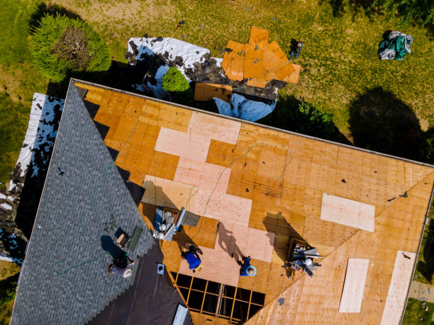 Best Roof Leak Repair  in Lapeer, MI