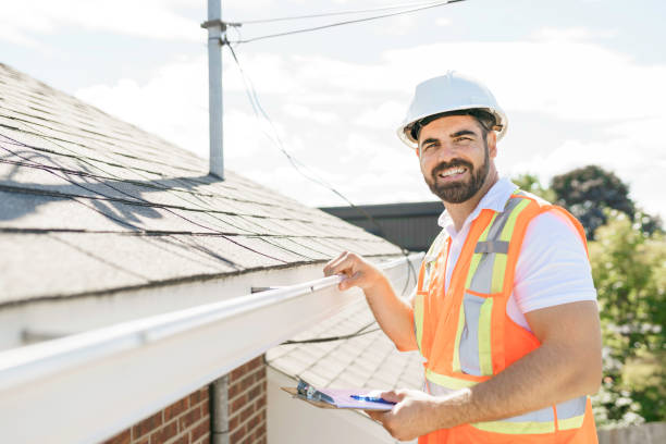 Best Local Roofing Companies  in Lapeer, MI
