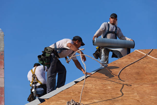 Best Tile Roofing Contractor  in Lapeer, MI