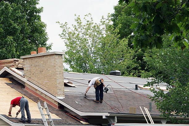 Professional Roofing Contractor in Lapeer, MI