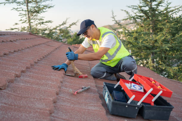 Best Commercial Roofing Services  in Lapeer, MI