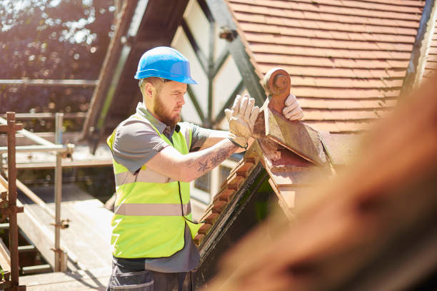 Best Sealant for Roof  in Lapeer, MI