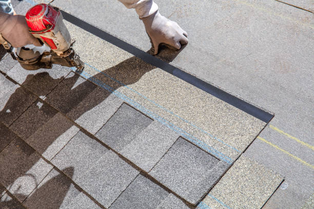 Best Flat Roof Repair Services  in Lapeer, MI